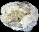 Large Crystal Filled Fossil Clam - Rucks Pit #48306-1